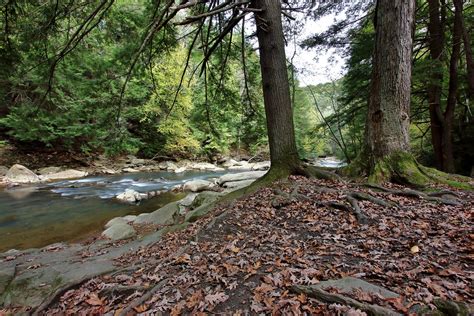 Creekside Break Pennsylvania Backwoods Mark Palmer Flickr