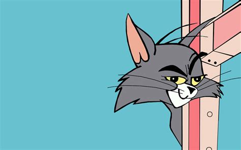 Tom is a cat who is forever on the tail of his cheeky little housemate, jerry the mouse. Download Cartoon Tom And Jerry Wallpaper 1280x800 ...
