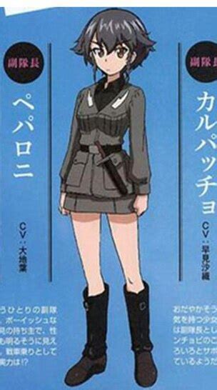 Girls Und Panzer Anchovy Cosplay Costume In Anime Costumes From Novelty
