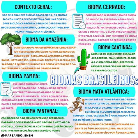 Biomas Brasileiros Mapa Conceitual Zema