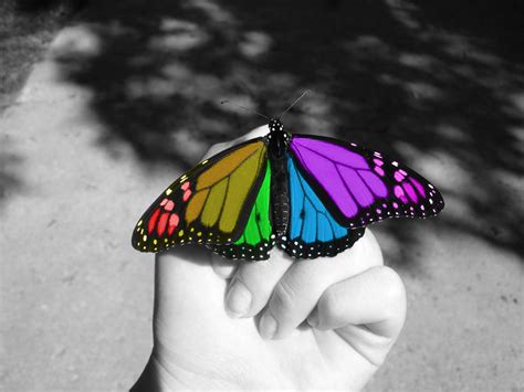 Mar 06, 2021 · rumus edit lightroom ala selebgram dengan tutorial yang jelas dan terbaru 2021. Cara Membuat Color Splash dengan Android, Ubah Foto Hitam ...