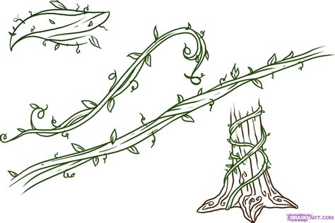 How To Draw Vines Step By Step Drawing Guide By Dawn Vine Drawing