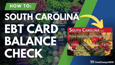 South Carolina Ebt Balance Check Instructions Youtube