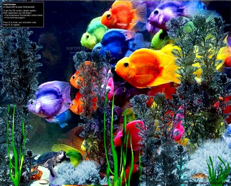 Microsoft Fish Screensaver Wallpaper | Free Best Hd Wallpapers