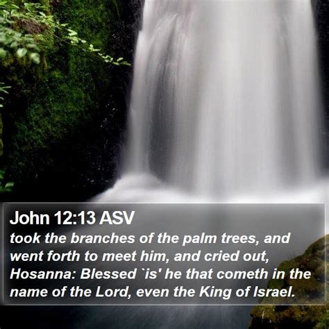 John 1213 Asv Took The Branches Of The Palm Trees And Went