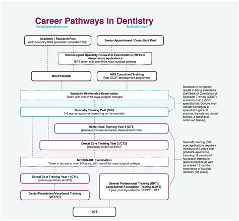Career Pathways In Dentistry Dental Careers Guide