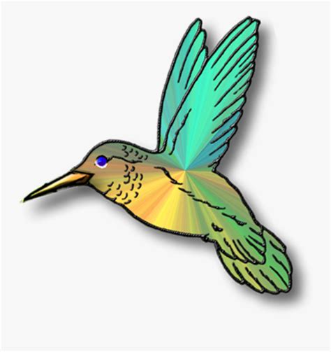 Hummingbird Clipart Animated Hummingbird Clip Art Free Transparent