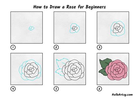 How To Draw A Rose For Beginners Helloartsy