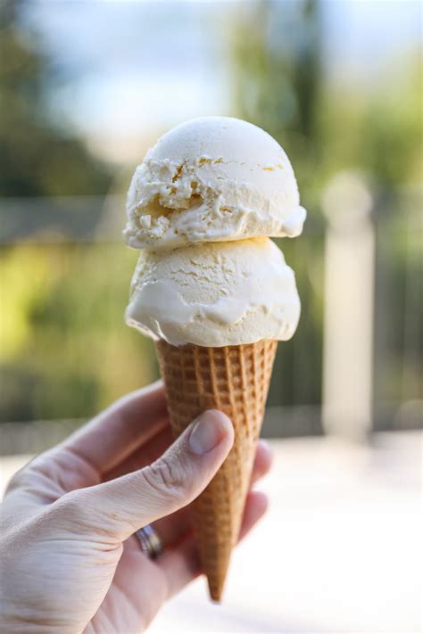 Ice cream is always good in my book, but this homemade dairy free coconut pumpkin ice cream is divine. Can I Make Ice Cream From Whole Milk - How to make ...