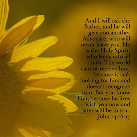A Sunflower With The Words Of Jesus On It