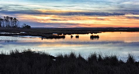 Blackwater National Wildlife Refuge Sunsetting Photograph By Brendan