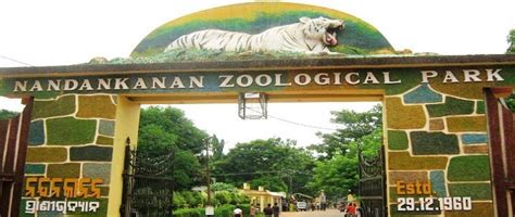 11 Prominent Zoological Parks To Visit In India Tripbeam Blog