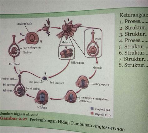 Pembuahan Ganda Pada Tumbuhan Tumbuh Tumbuhan