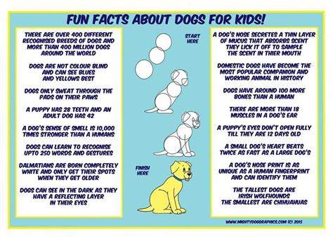 Fun Facts About Dogs For Kids And Adults Too Dog Facts Dogs And Kids Fun Facts About Dogs