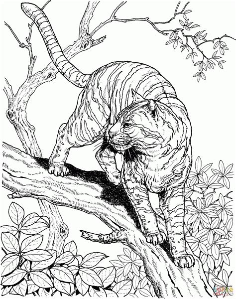 Cool Animal Coloring Pages Coloring Home