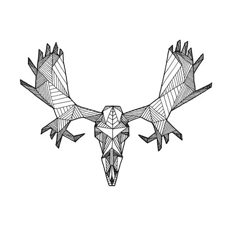 detailed geometric moose skull drawing digital art print from original skeleton illustration