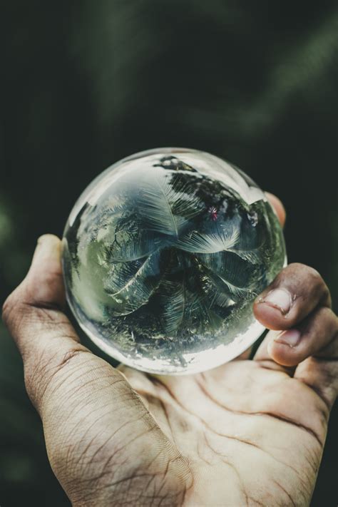 Person Holding Clear Glass Ball · Free Stock Photo