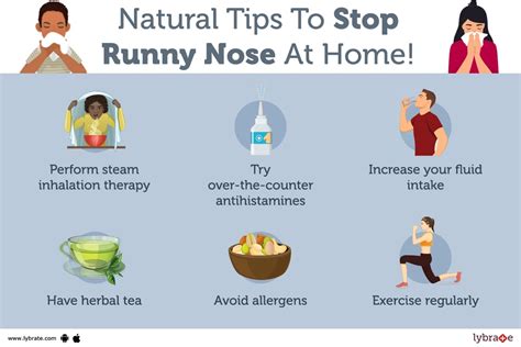 12 Tips To Relieve Your Runny Nose Or Nasal Congestion By Dr Satish
