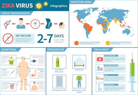 Premium Vector Zika Virus Infographic Set