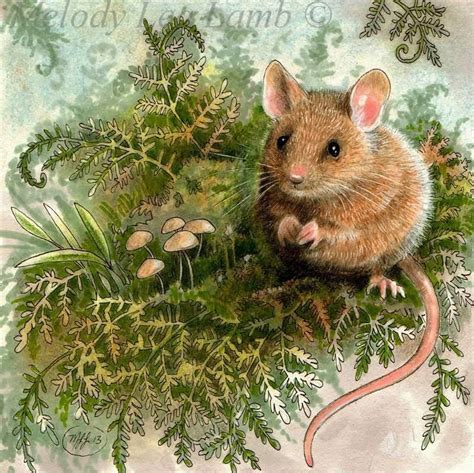 Field Mouse 2013 Is A 5 X 5 Colored Pencil India Ink And Some White