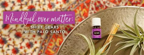 It is closely related to frankincense and comes from the same botanic. Palo Santo Oil Uses | Young Living Blog