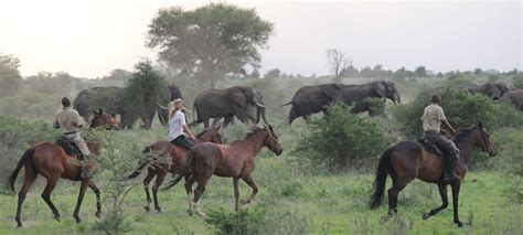 Manyara Ranch Conservancy Discover Africa Safaris