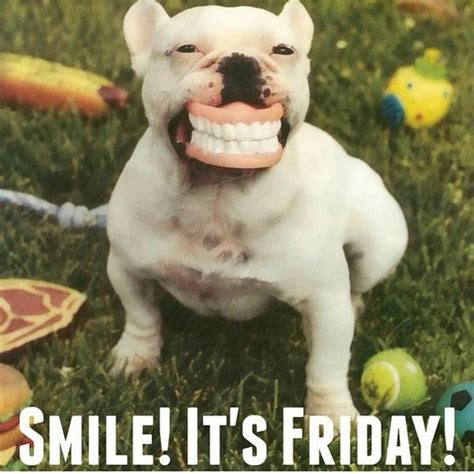 Here's an awesome happy friday meme collection for you. 20 Happy Memes That Scream "It's Friday!" Volume 1 | SayingImages.com