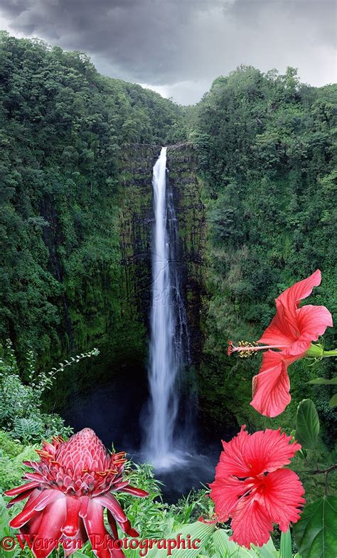 Hawaii Waterfall Photo Wp03095