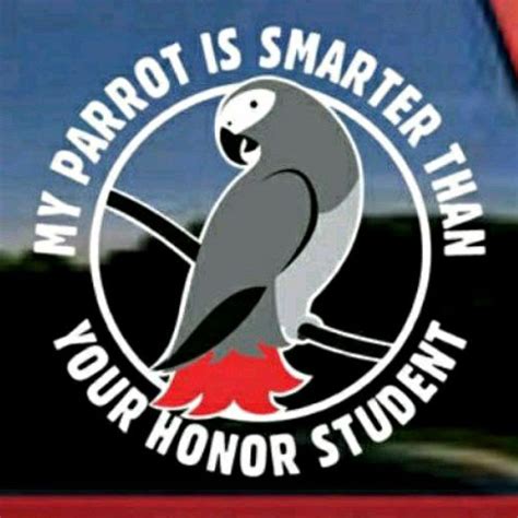 Jual Stiker Parrot Is Smarter Than Stiker Burung Parrot Stiker