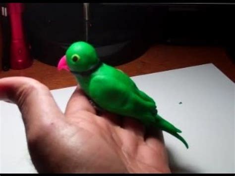 Discover how long pesquet's parrot lives. How to make Play-Doh baby parrot - YouTube