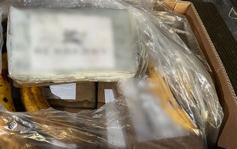en españa incautaron más de seis toneladas de cocaína colombiana ocultas en cajas de bananos