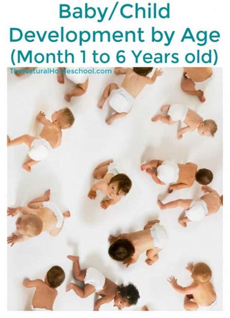 Baby And Child Development By Age Month 1 To Age 6