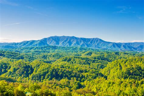 Maybe you would like to learn more about one of these? A Smoky Mountain Dream: 2 Bedroom Vacation Cabin Rental ...