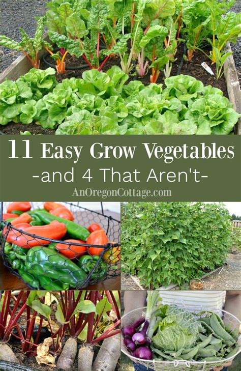 First, many more vegetables are included in this garden design. 11 Truly Easy Grow Vegetables (+ 4 That Really Aren't ...