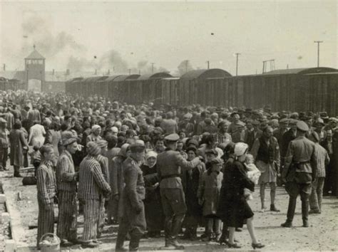 Vor 70 Jahren Wurde Auschwitz Befreit