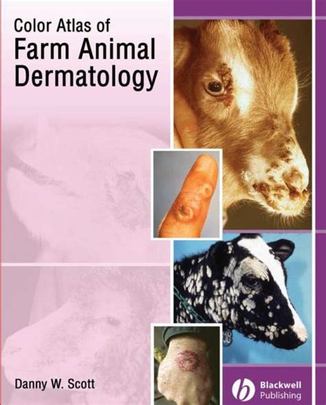 Color Atlas Of Farm Animal Dermatology Pdf Lobby