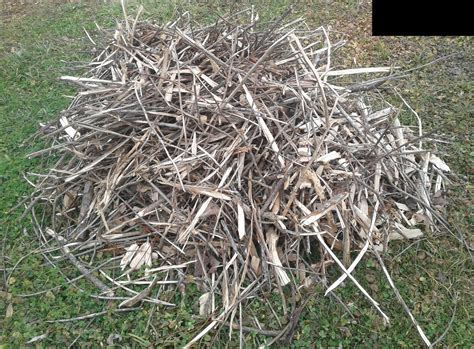 How to find them and even have them delivered at no cost. Beggars for free wood chips like me (gardening for ...