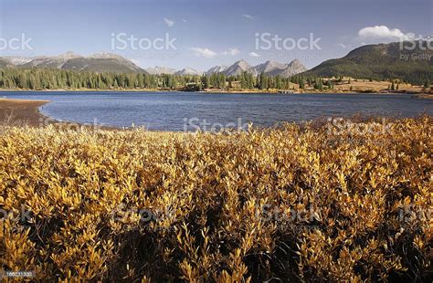 Molas Lake And Needle Mountains Weminuche Wilderness Colorado Stock
