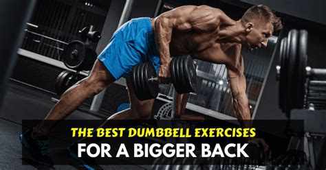 10 Best Dumbbell Back Exercises And The Benefits Of Back Workouts With