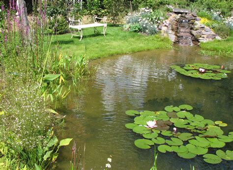 Pond Gallery Natural Gardens