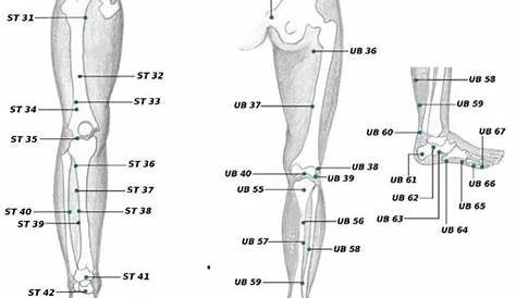 Leg Pain Location Chart