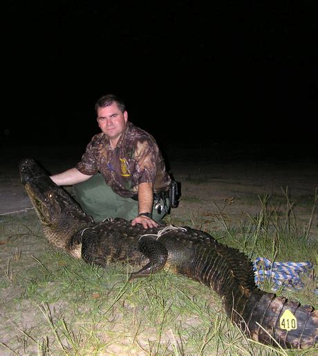 Mississippi Hunters New Owners Of State Record For Longest Female Alligator
