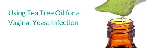 Using Tea Tree Oil For A Vaginal Yeast Infection Beat Candida
