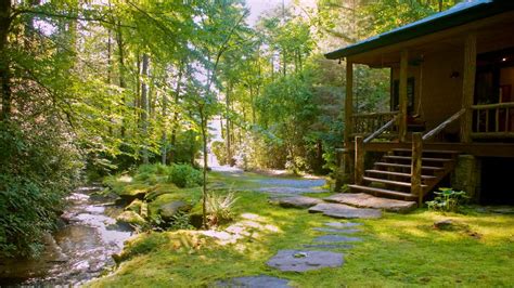 The 10 Best Brevard Cabins And Cabin Rentals With Prices Tripadvisor
