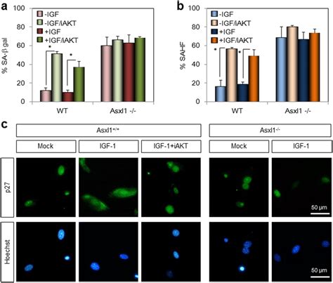 Functional Correlation Between Asxl1 Disruption And Akt1 Inhibition