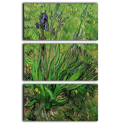 The Iris By Van Gogh 3 Split Panel Canvas Print Canvas Art Rocks