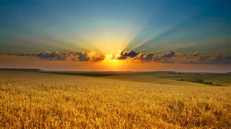Wallpaper Wheat Fields Sunset Clouds 2560x1600 Hd Picture Image