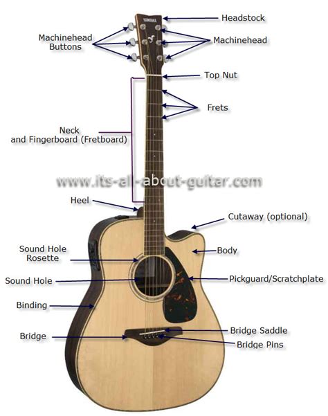 Clear guitar parts diagram with detailed breakdown of both acoustic and electric. Diagram of an Acoustic Guitar