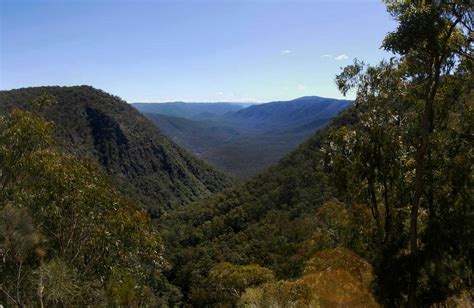Escarpment Walk Nsw Holidays And Accommodation Things To Do