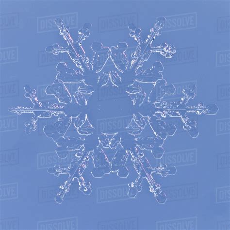 Snowflake Magnified Under Microscope Lilehammer Norway Stock Photo